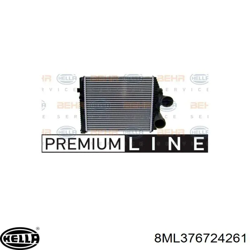Intercooler 9705010201 Mercedes