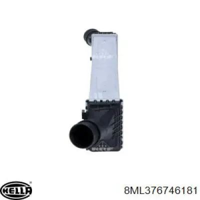 Enfriador de aire de admisión Thermotec DAA019TT