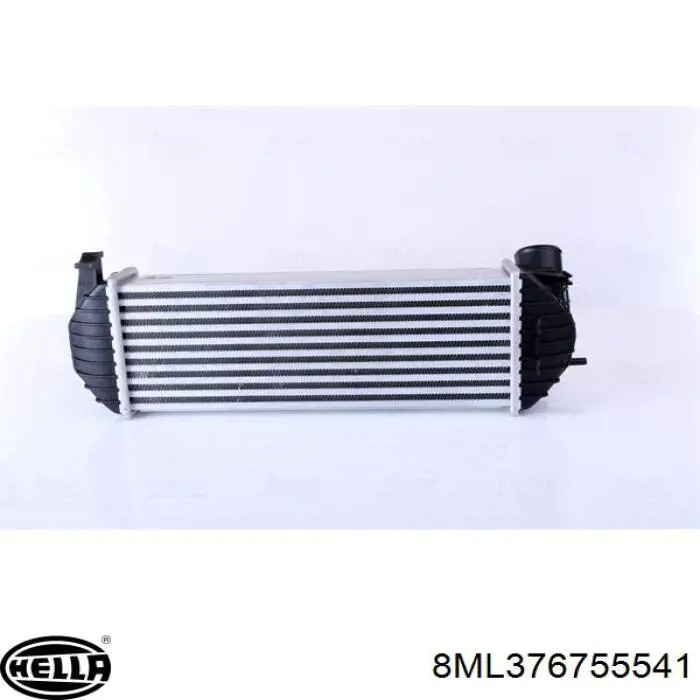 Radiador de aire de admisión Renault (RVI) 8200382109 precio, desde 113,26 EUR