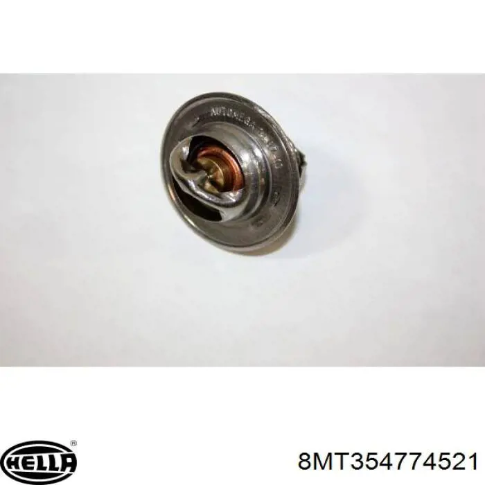 Termostato, refrigerante Renault Laguna 2 BG0, BG1