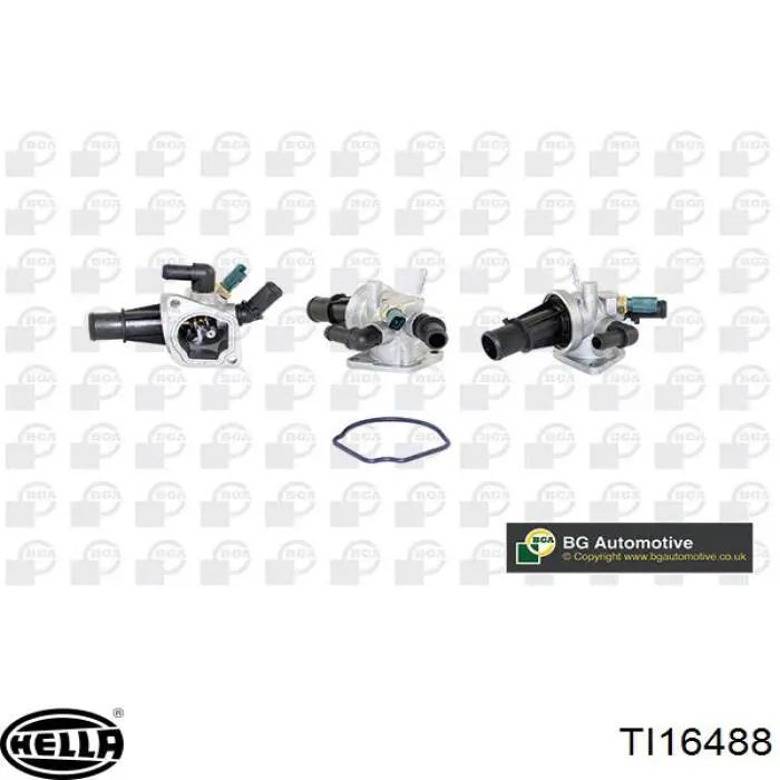1360882 Ford Termostato de agua