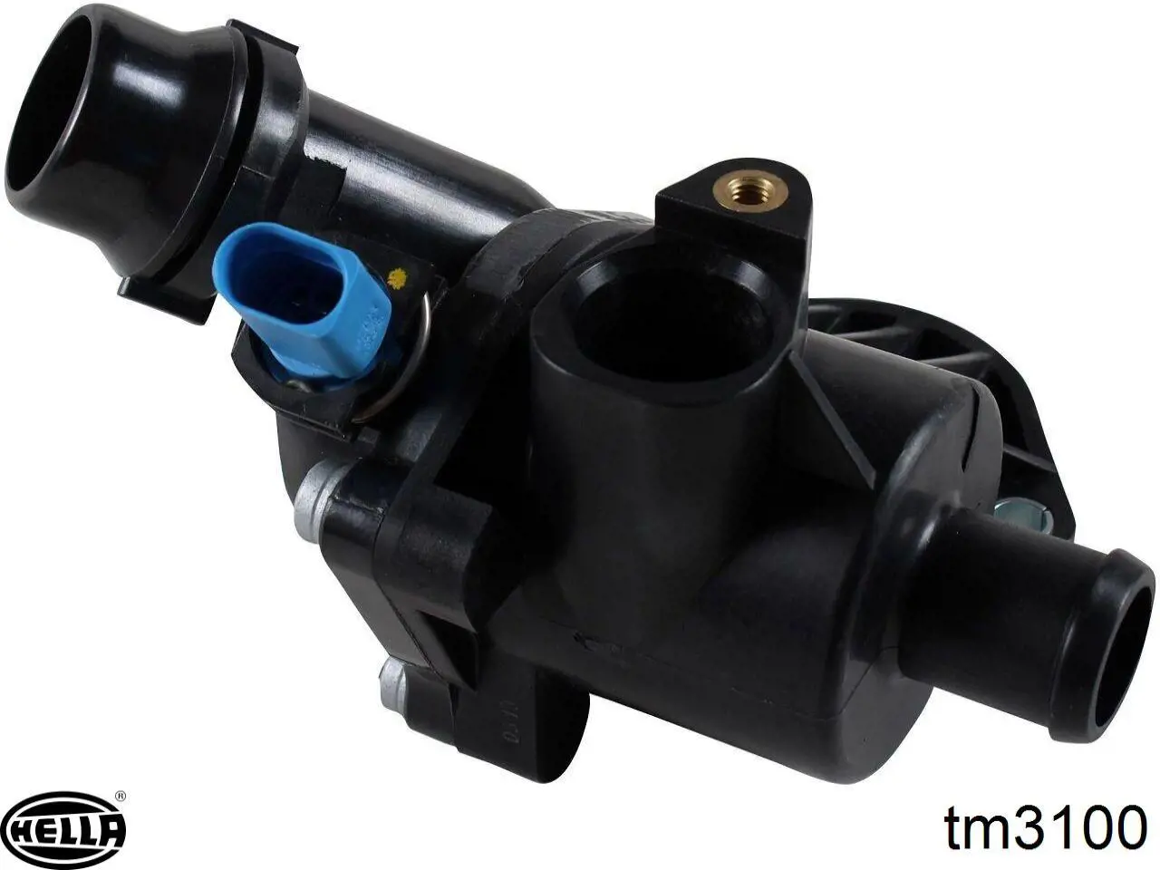 Caja del termostato Audi A4 8EC