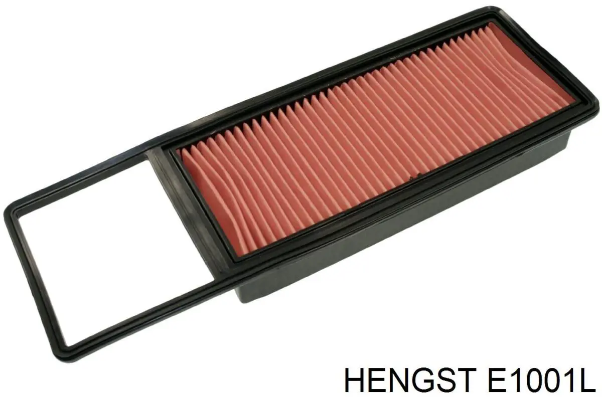 E1001L Hengst filtro de aire