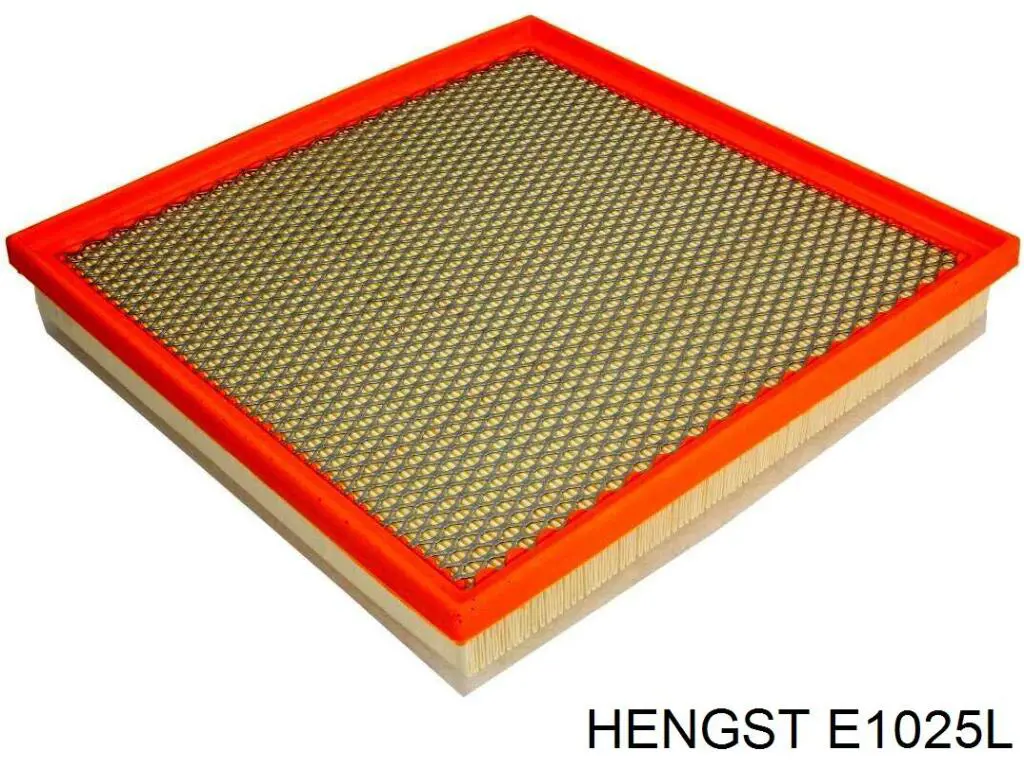 E1025L Hengst filtro de aire