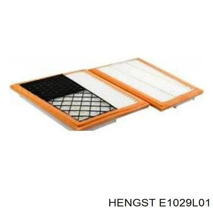 E1029L01 Hengst filtro de aire