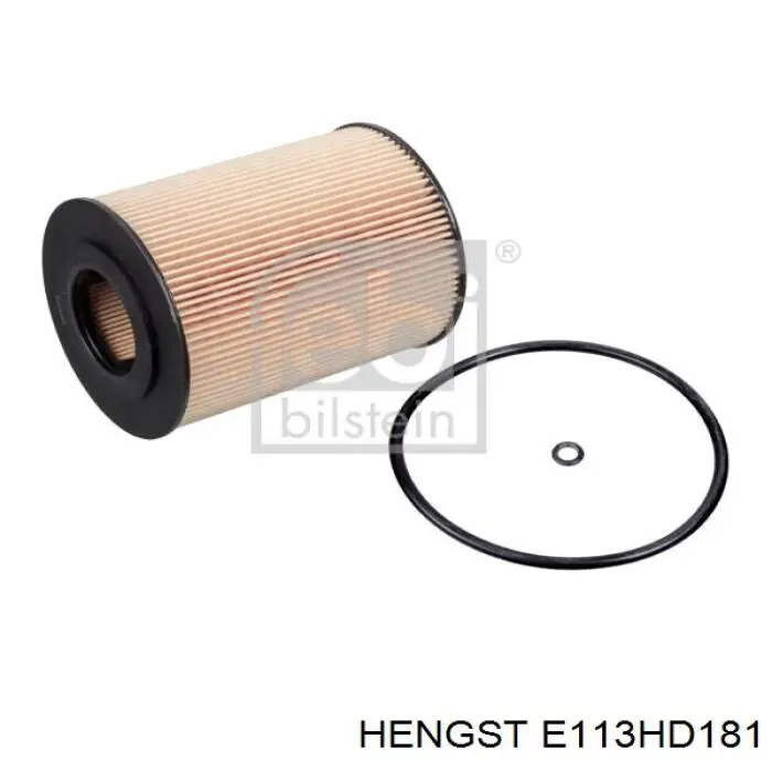 E113HD181 Hengst filtro de aceite