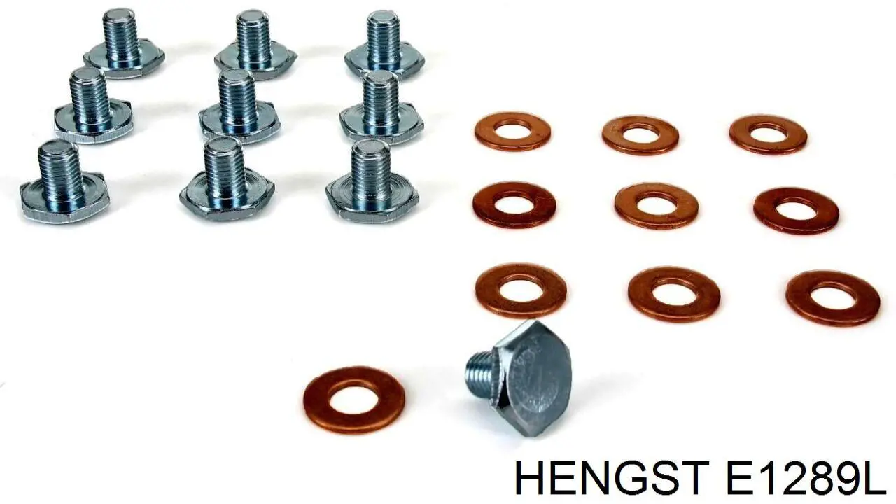 Filtro aire Hengst E1289L