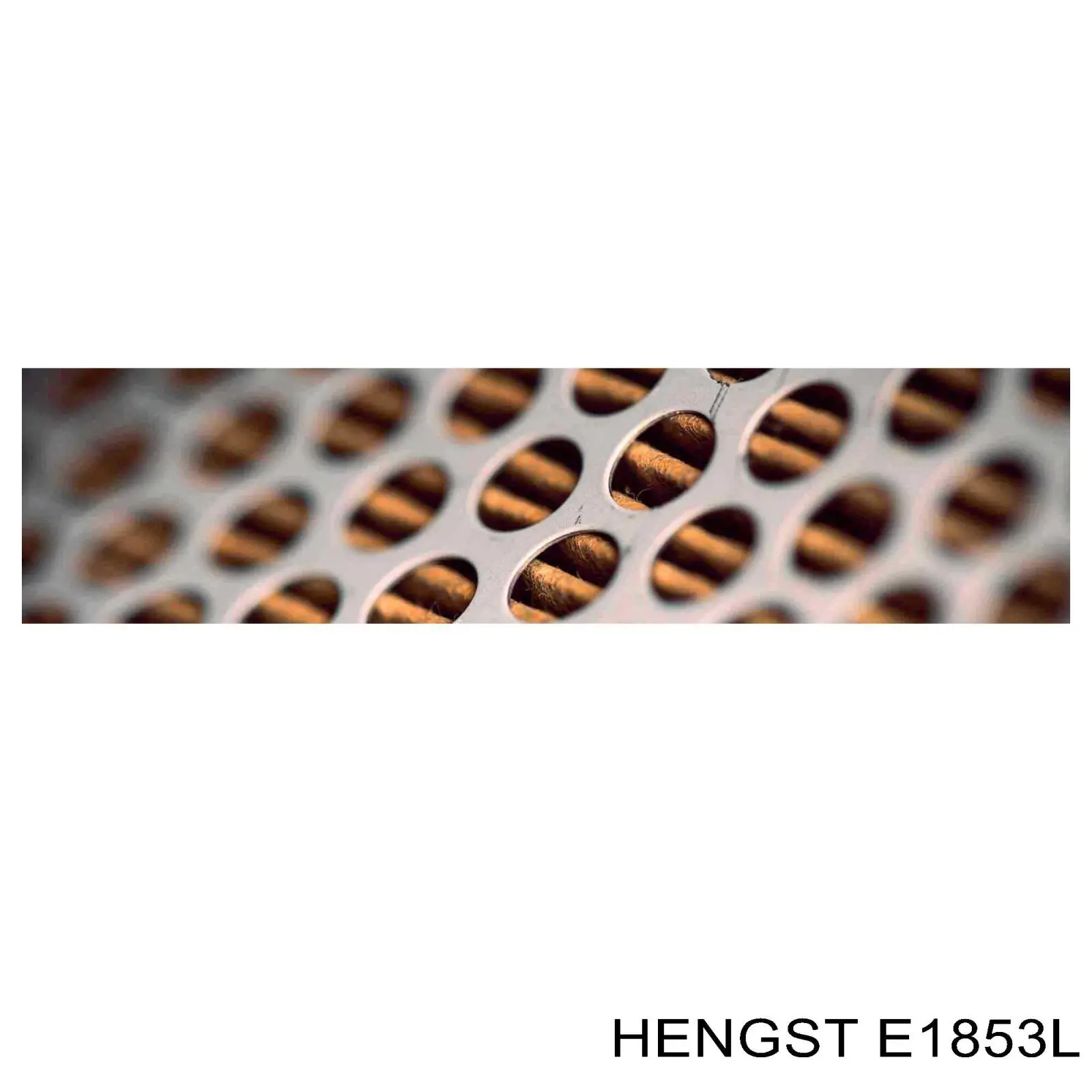 E1853L Hengst filtro de aire