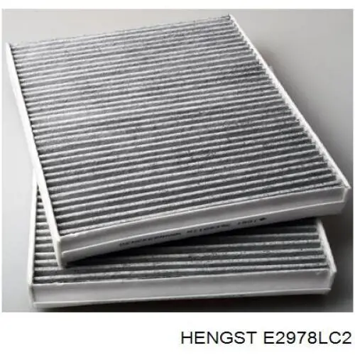 E2978LC2 Hengst Filtro antipolen