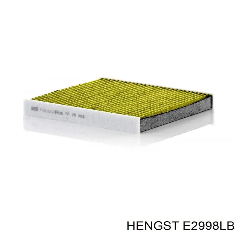 E2998LB Hengst Filtro antipolen