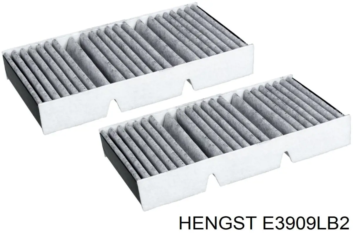 E3909LB2 Hengst filtro habitáculo