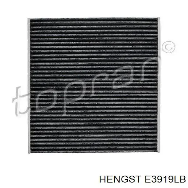 E3919LB Hengst Filtro antipolen