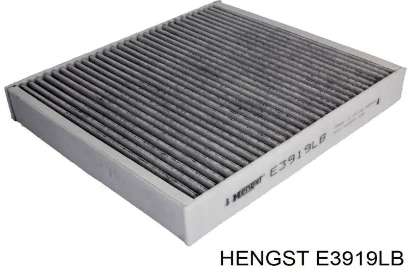 E3919LB Hengst filtro habitáculo