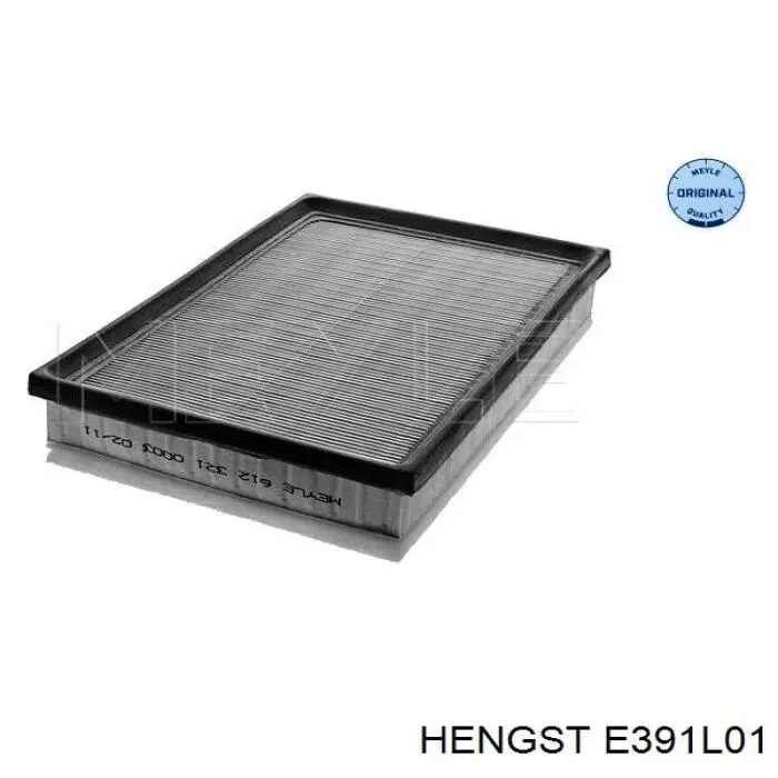 E391L01 Hengst filtro de aire