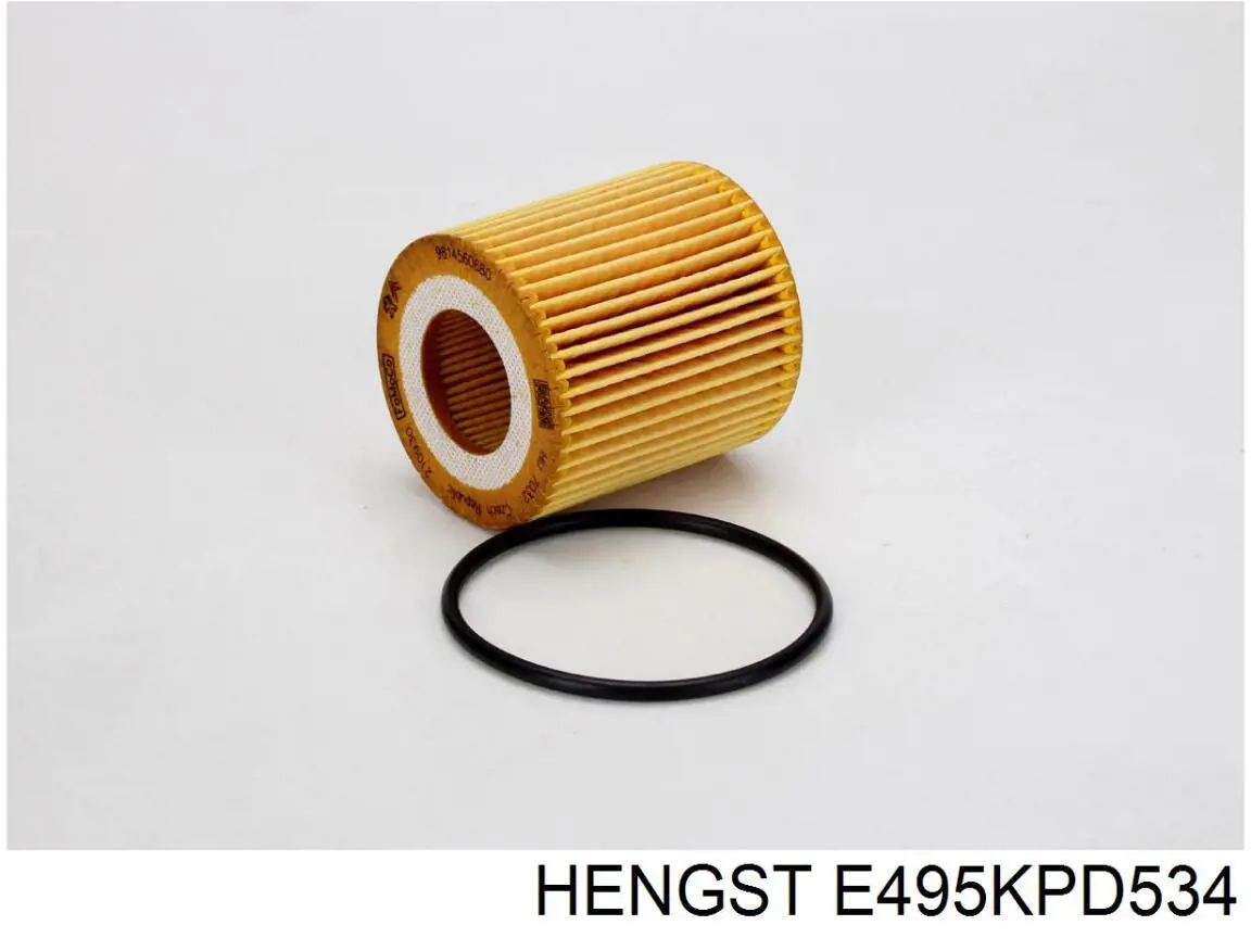 E495KPD534 Hengst filtro combustible