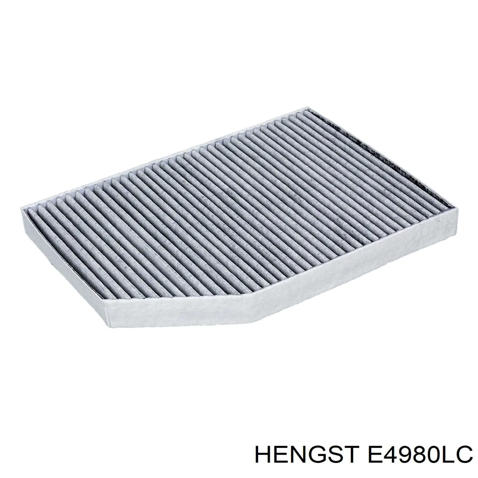 E4980LC Hengst Filtro antipolen