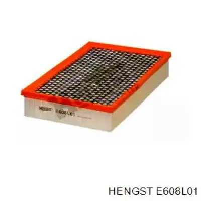 E608L01 Hengst filtro de aire