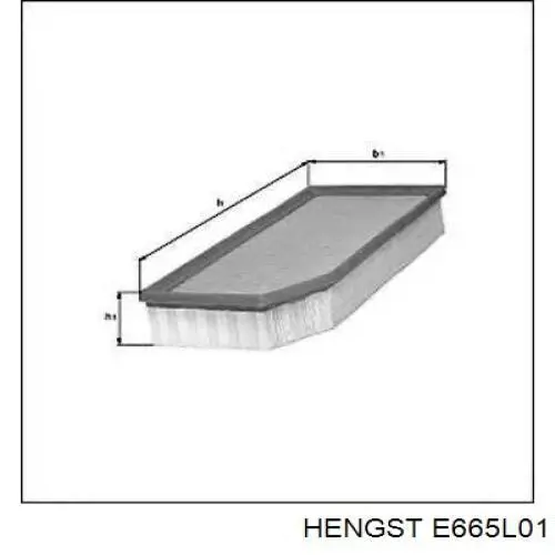 E665L01 Hengst filtro de aire