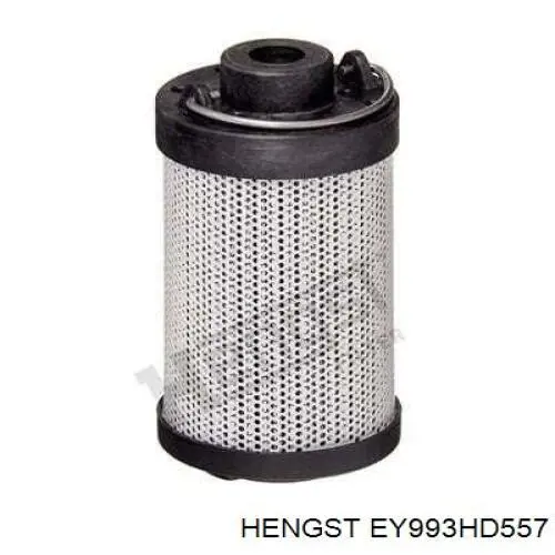 EY993HD557 Hengst