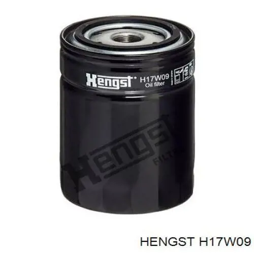 H17W09 Hengst filtro hidráulico