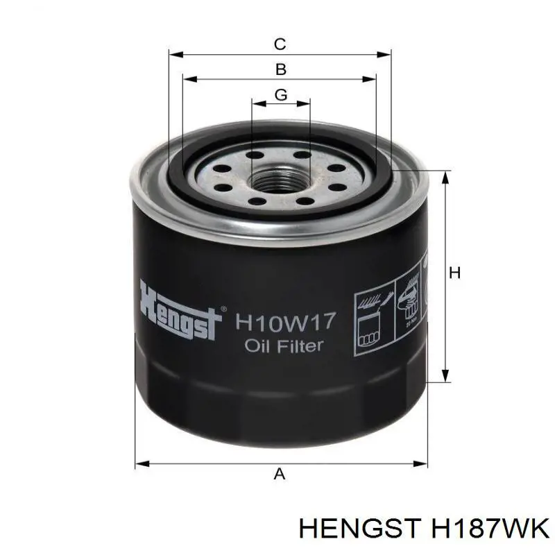 CS 0069 M Sampiyon filtro combustible