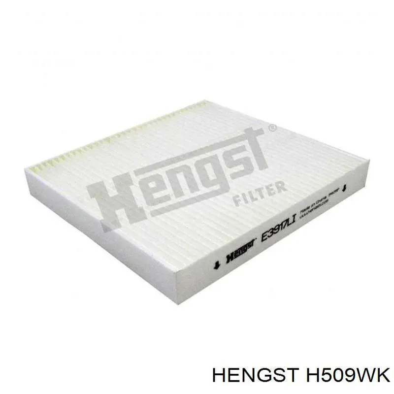 H509WK Hengst filtro combustible