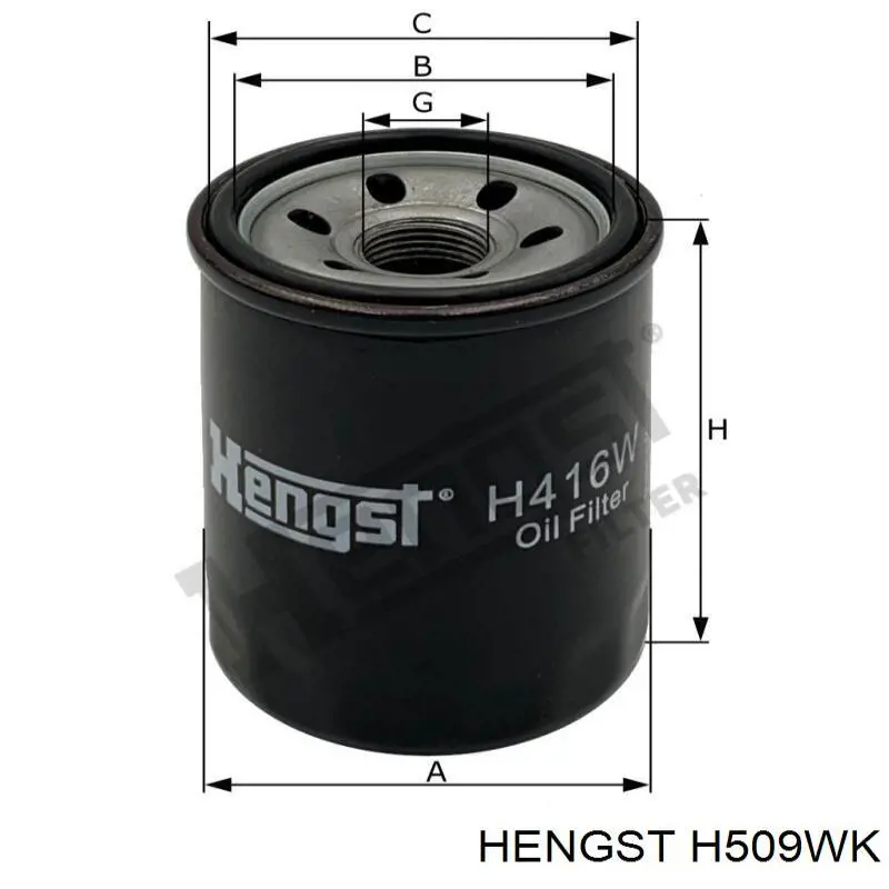 Comprar H509WK Hengst Filtro diesel