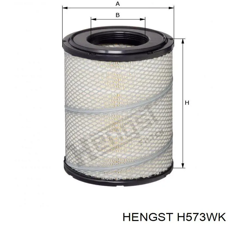 6005028977 Renault (RVI) filtro combustible