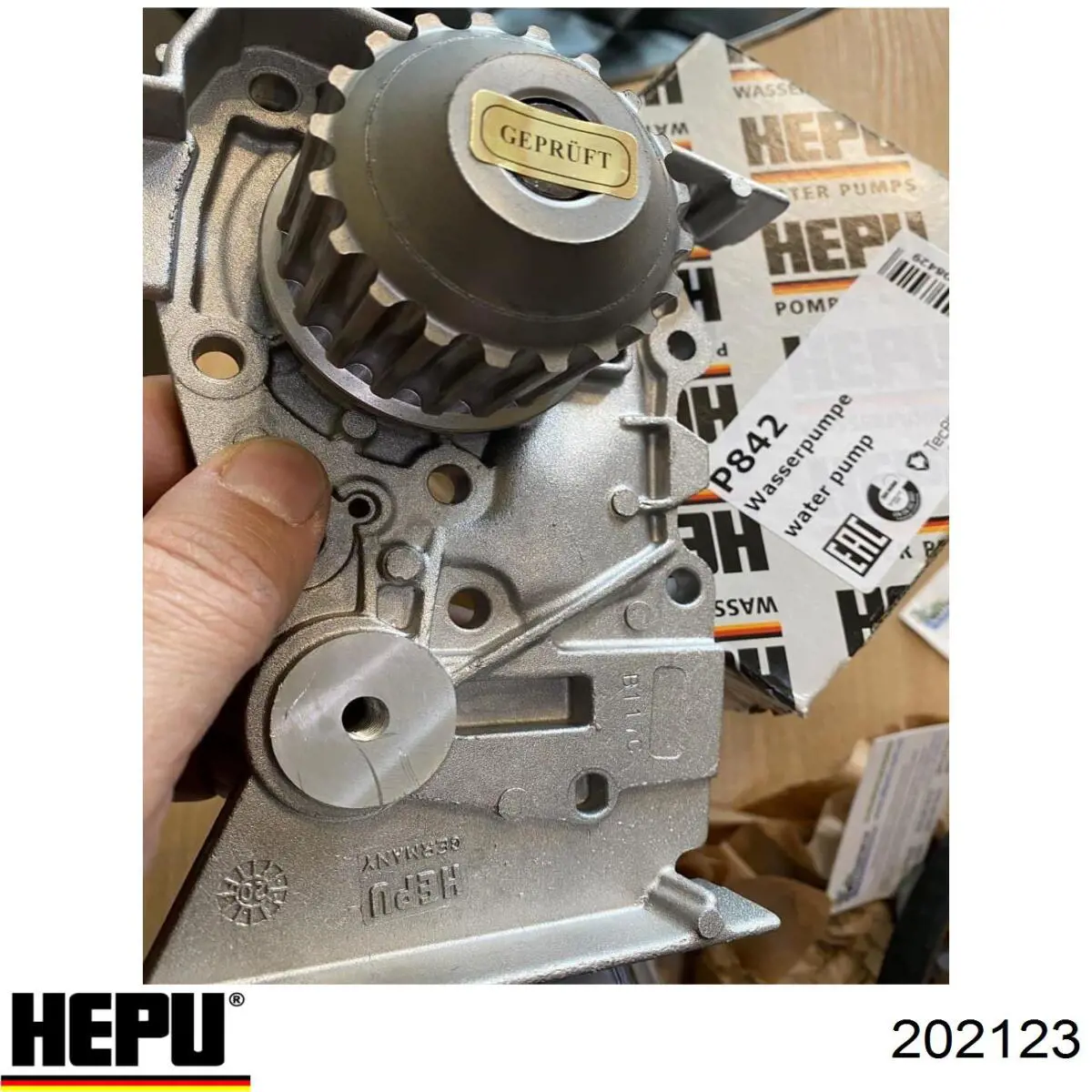 Kit distribución Gates K025699XS