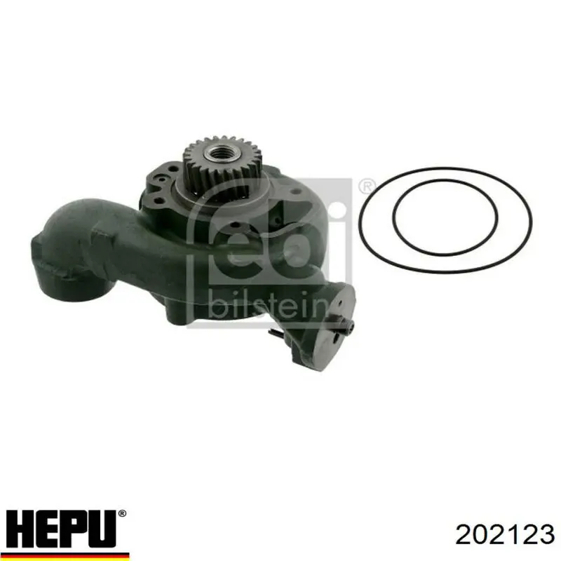 Juego de correas dentadas Gates K025699XS precio, desde 162,84 EUR