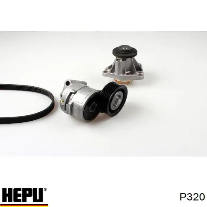 P320 Hepu bomba de agua