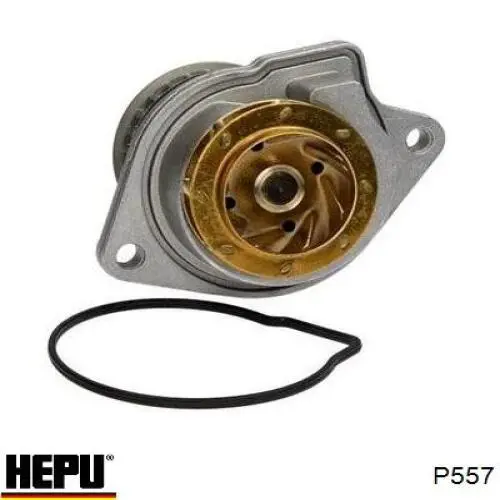Bomba de agua P557 Hepu
