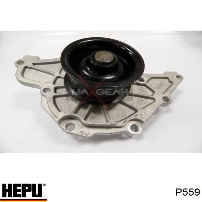 Bomba de agua P559 Hepu