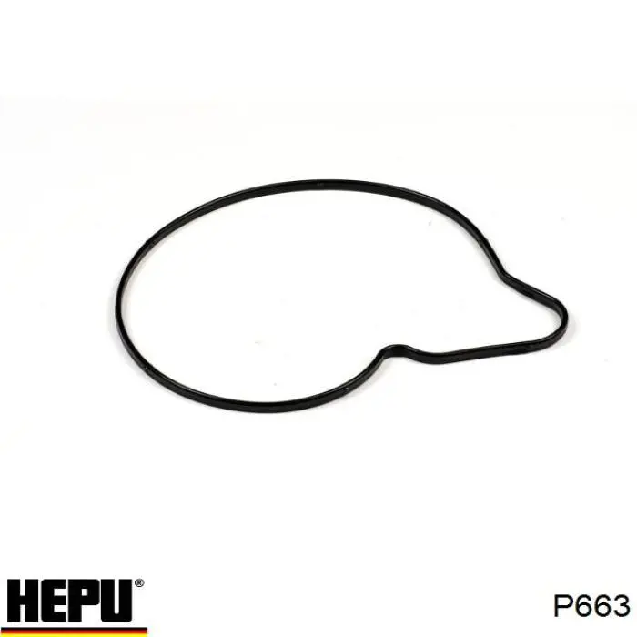 Motor de agua Hepu P663