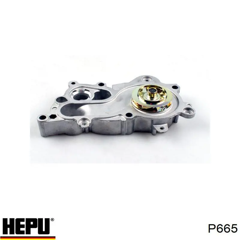 Bomba de agua Seat Ibiza 4 6J5, 6P1