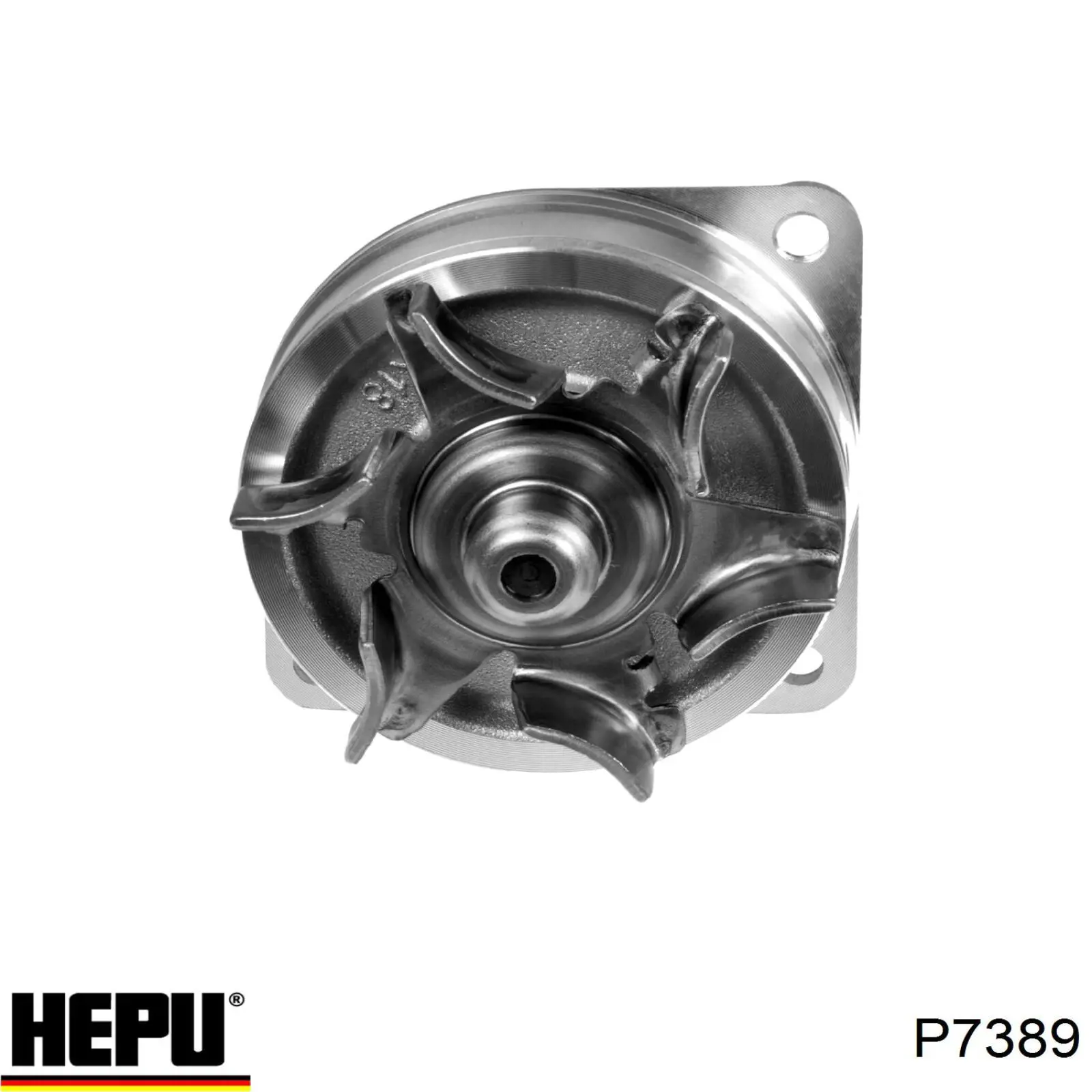 Bomba de agua P7389 Hepu