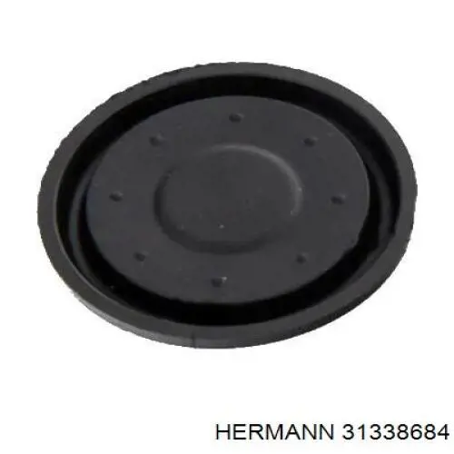 31338684 Hermann