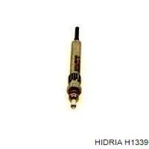 Comprar H1339 Hidria Calentadores diésel