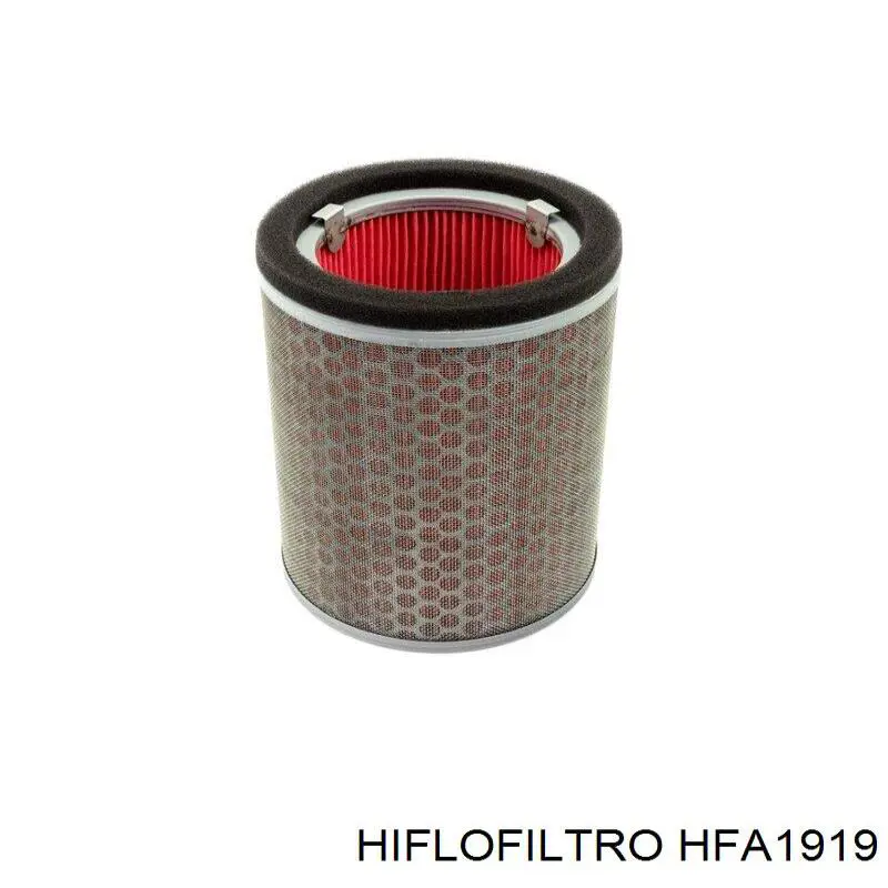 HFA1919 Hiflofiltro Filtro de aire de motor
