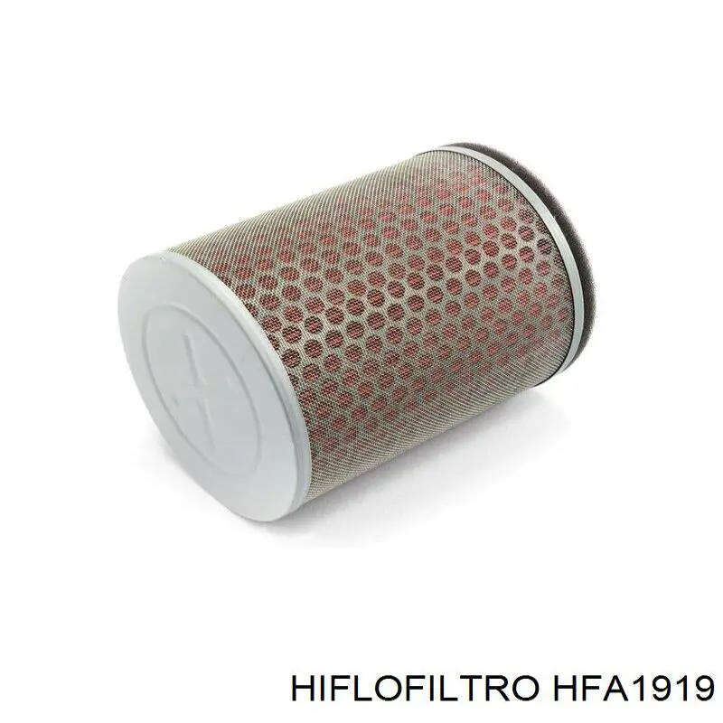 El filtro de aire Hiflofiltro HFA1919 precio, desde 40,73 EUR