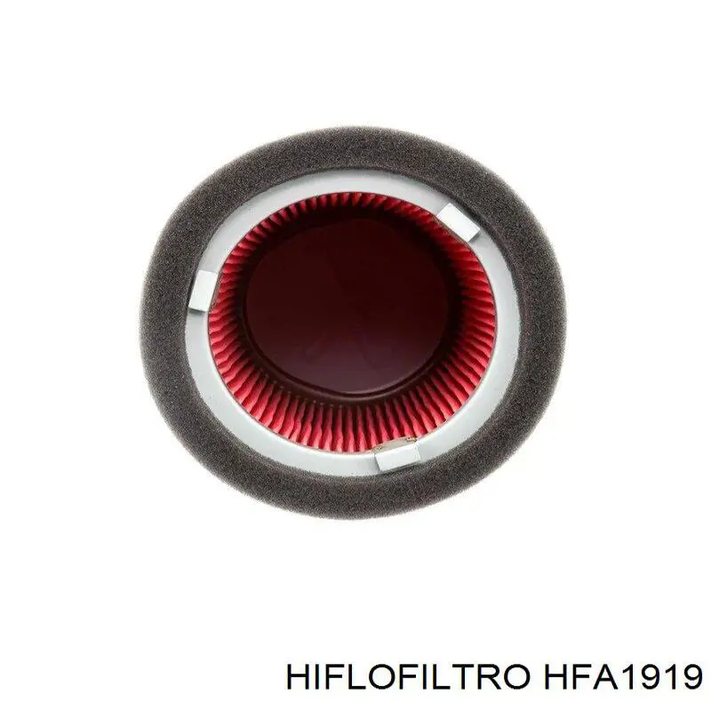 HFA1919 Hiflofiltro filtro de aire