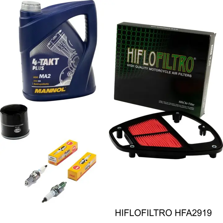 HFA2919 Hiflofiltro