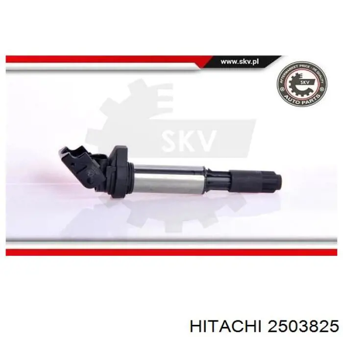 2503825 Hitachi bobina