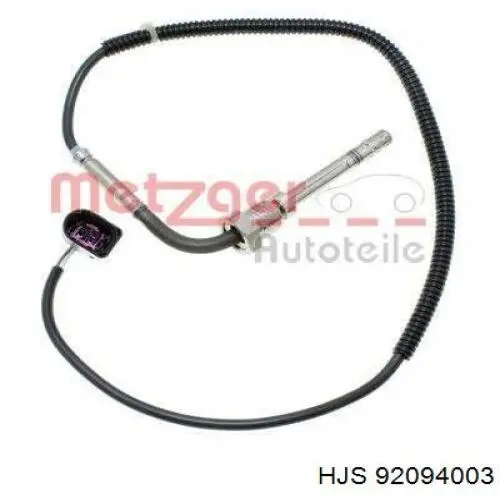 Sensor de temperatura de gases de escape antes del filtro de partículas ERA 551632A
