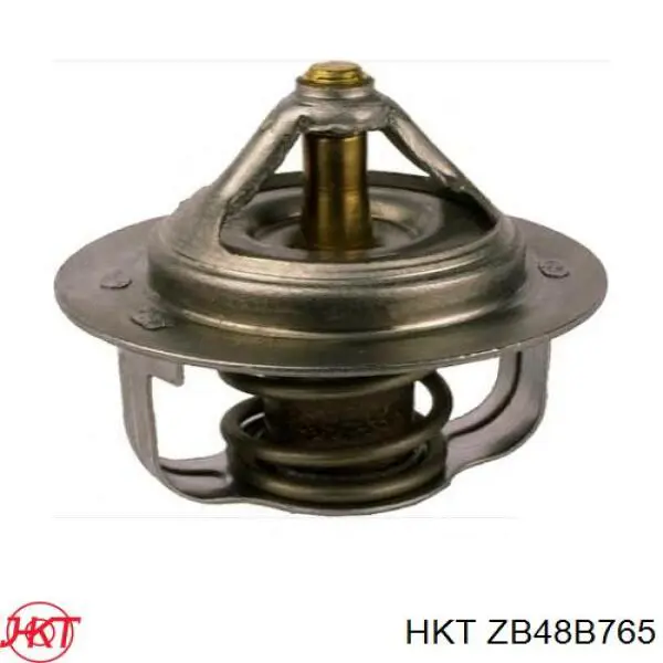 ZB48B765 HKT Termostato de agua