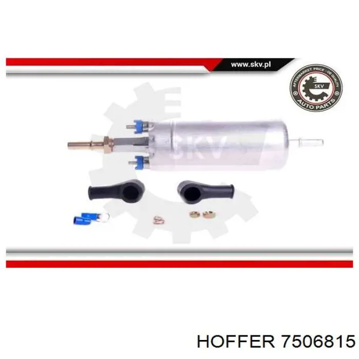 1125325 Ford Unidad de alimentación de combustible