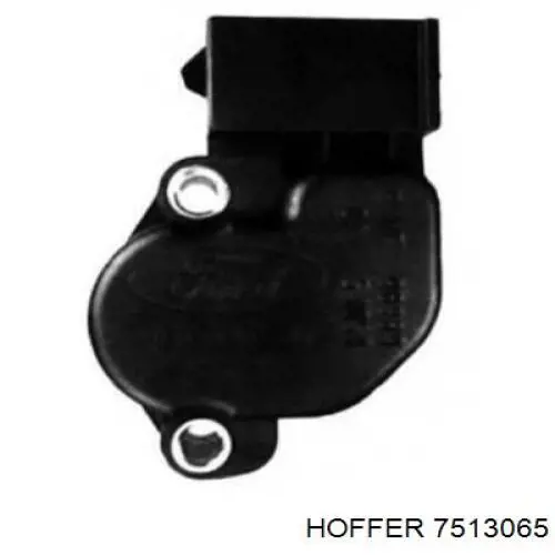 7513065 Hoffer sensor tps