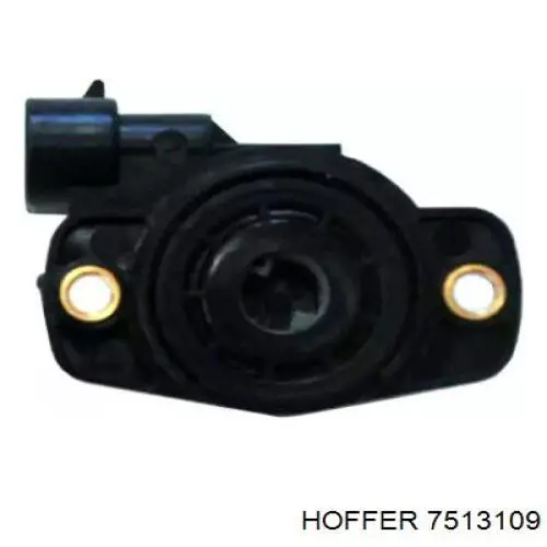 Comprar 7513109 Hoffer Sensor tps
