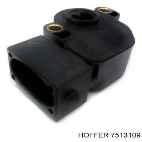 7513109 Hoffer sensor tps