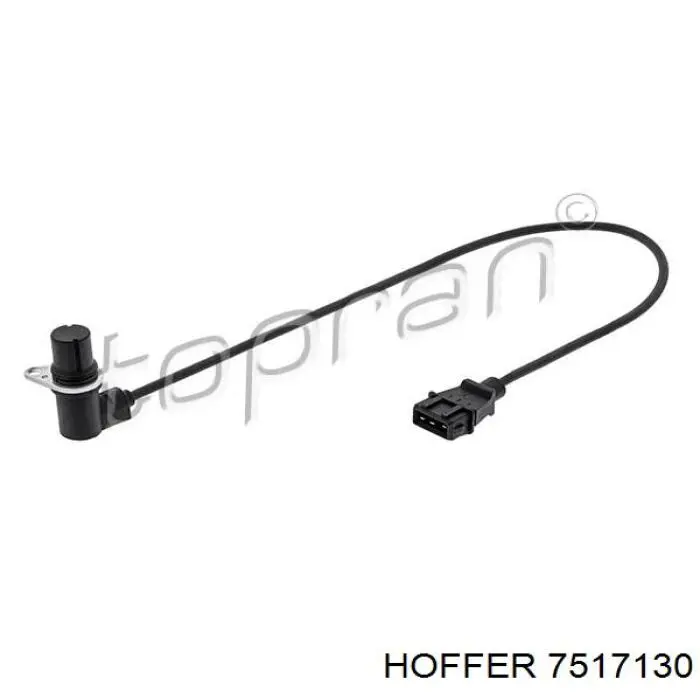 Volkswagen Passat 3A5, 351, 315